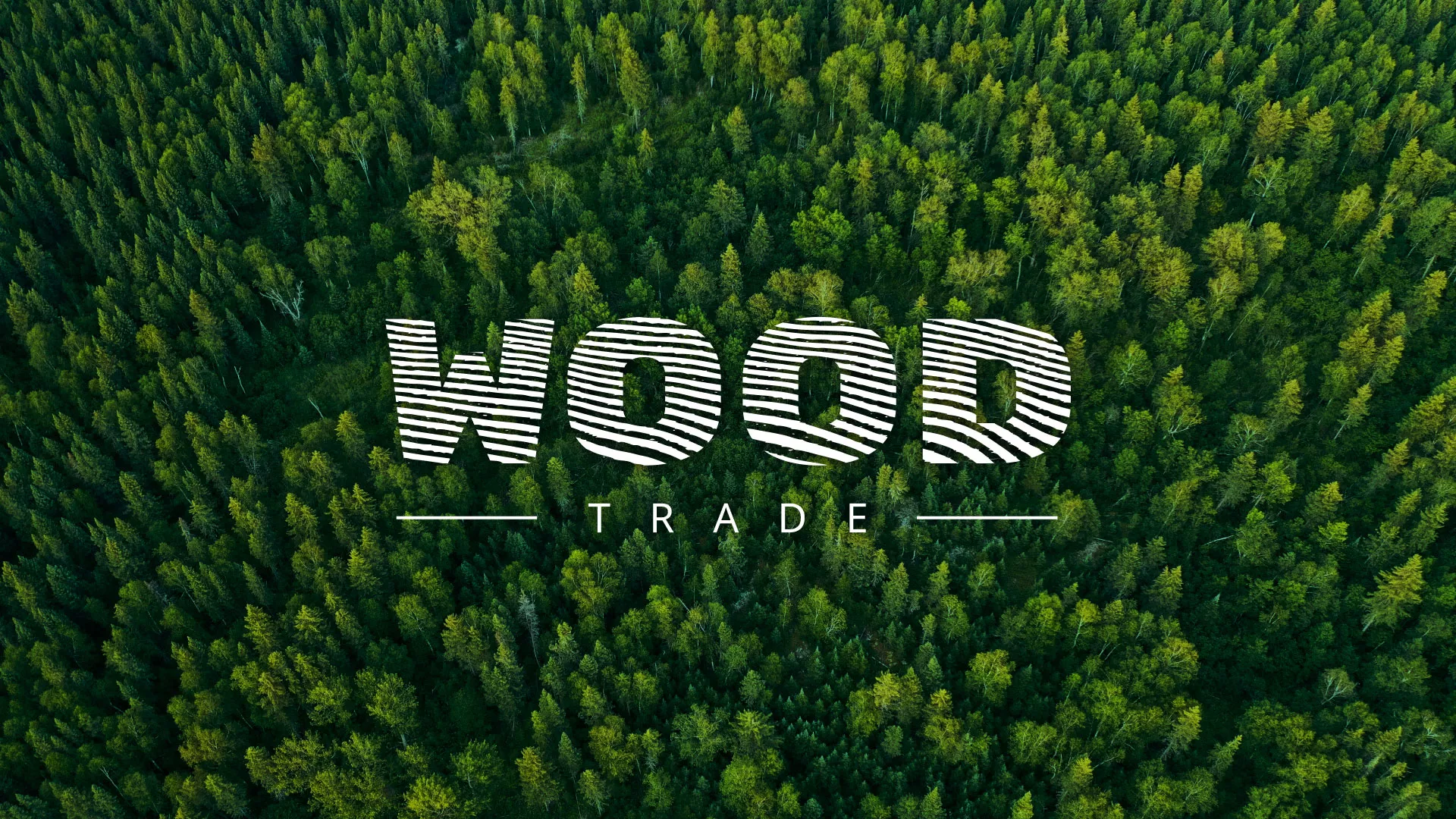 Разработка интернет-магазина компании «Wood Trade» в Белозерске