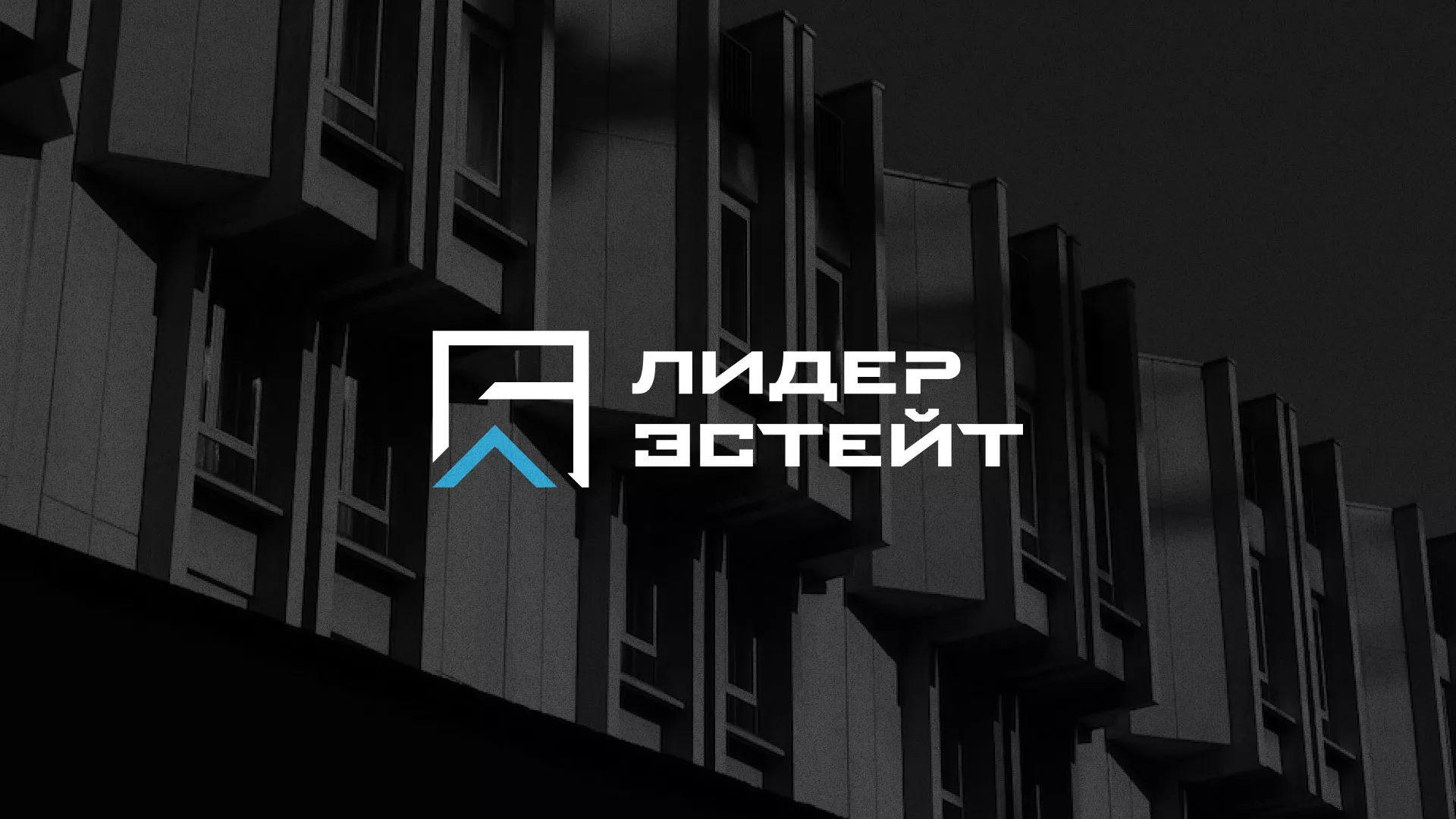 Разработка логотипа агентства недвижимости «Лидер Эстейт» в Белозерске