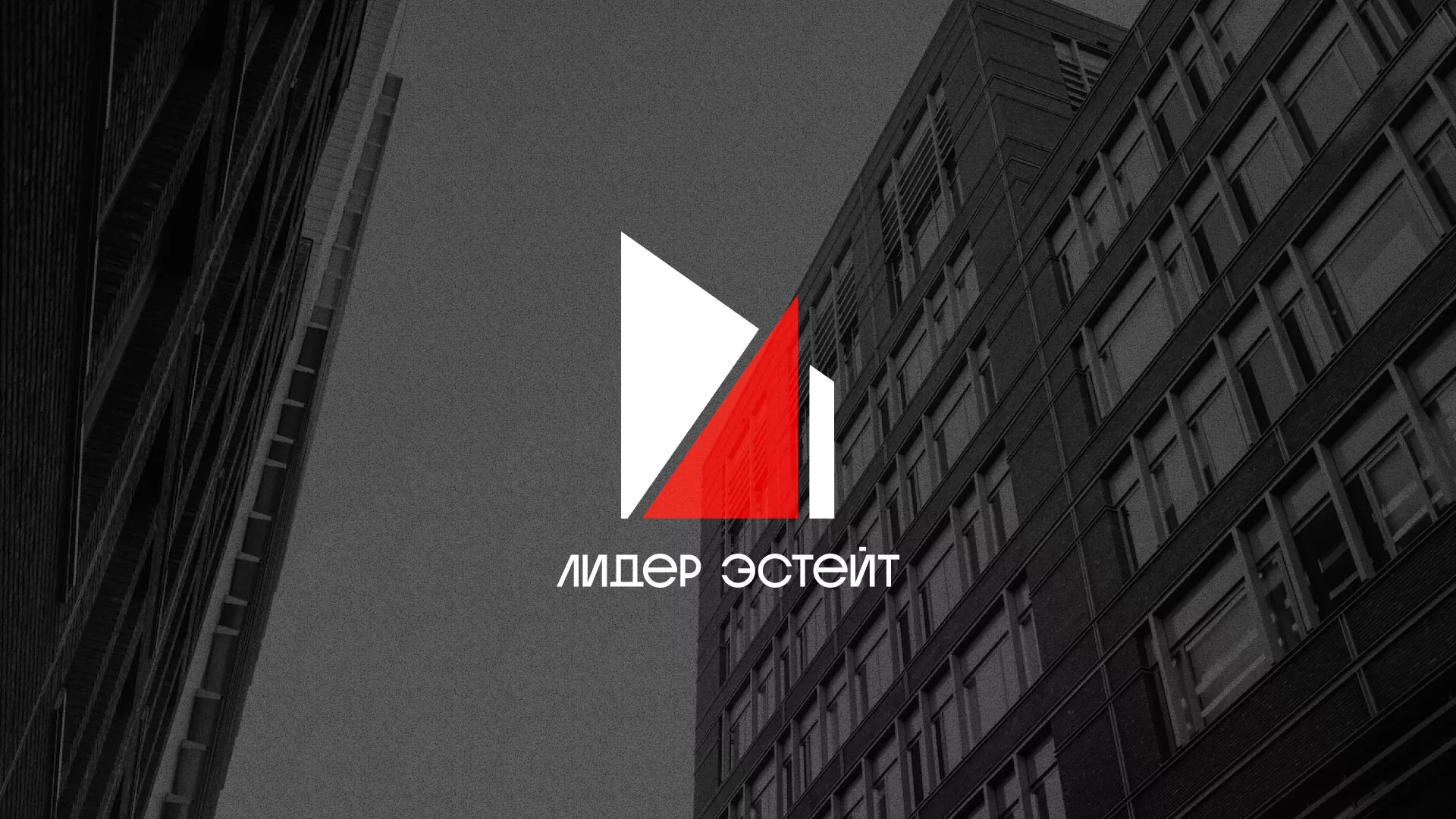 Сделали логотип для агентства недвижимости «Лидер Эстейт» в Белозерске